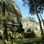 tikal_2