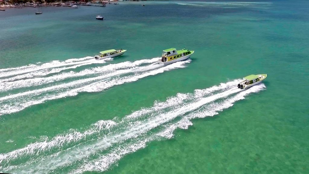 Water Taxis
