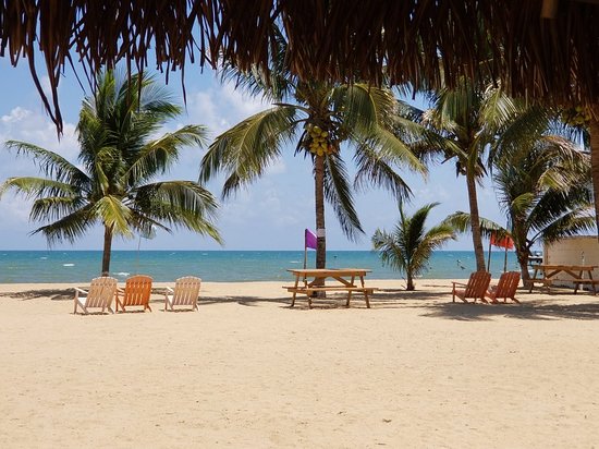 getting to dangriga