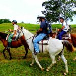 horseback-riding-tours-belize-1200x900