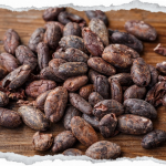 maya-chocolate-tour-belize