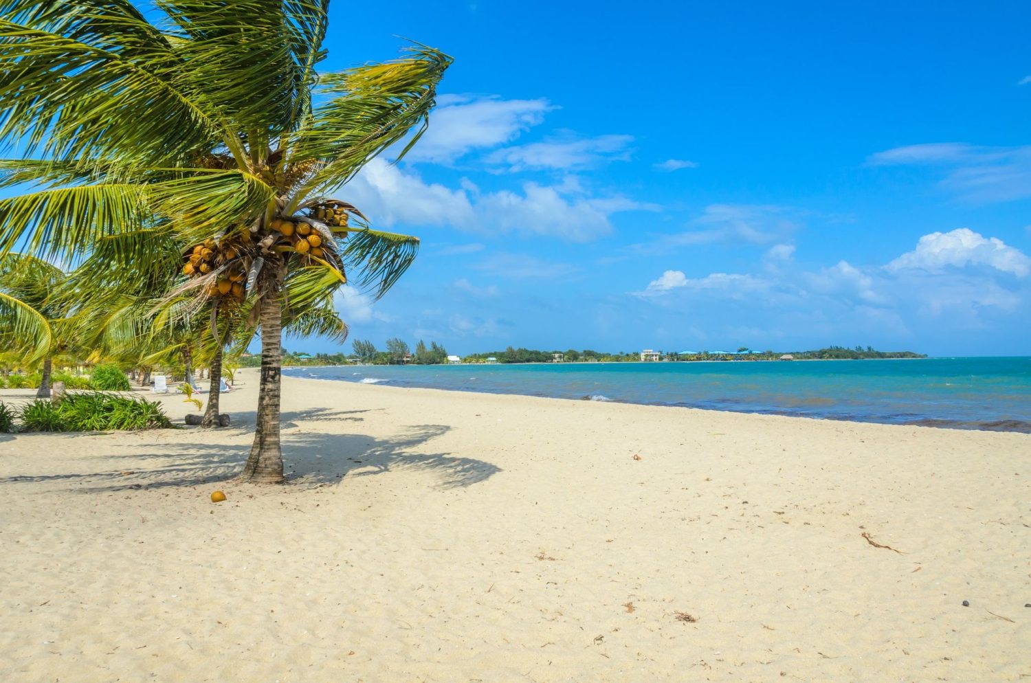 Bask in the Sun on the Placencia Beaches