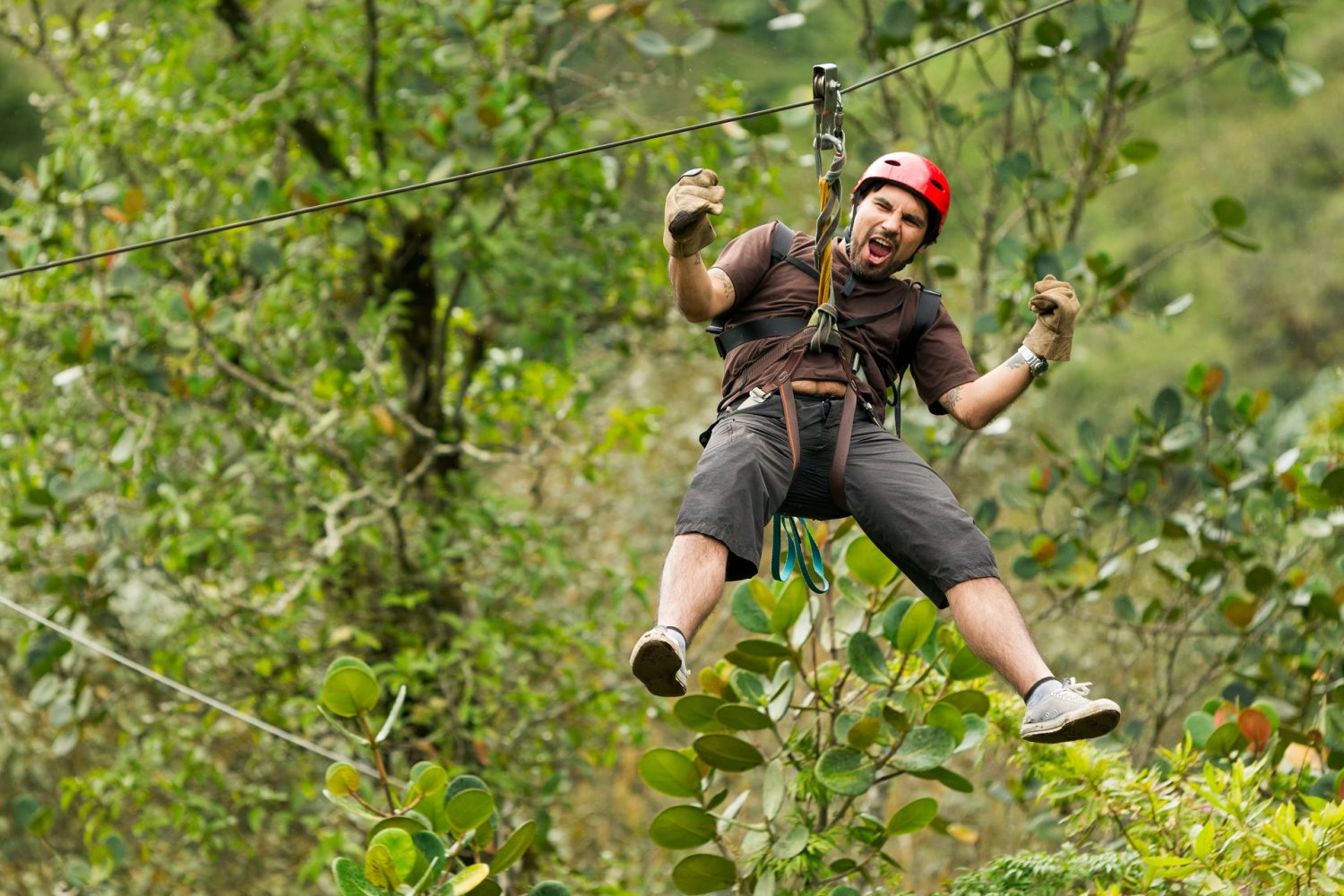 Personalized Experiences with Private Tours