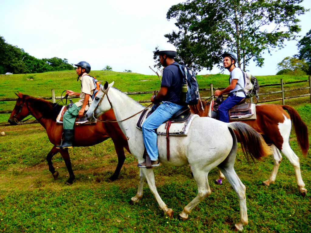 Equestrian Trails