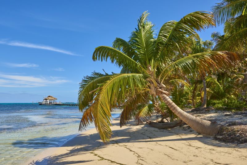  Belize dry season