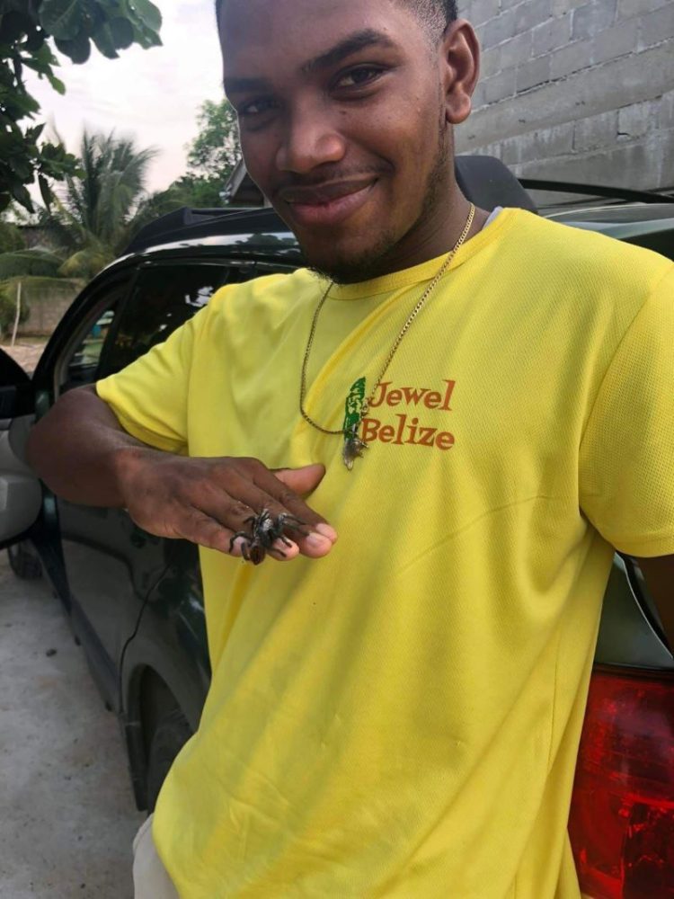  Guided tours in Belize
