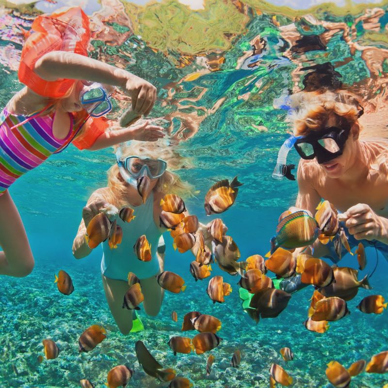  Belize Barrier Reef diving