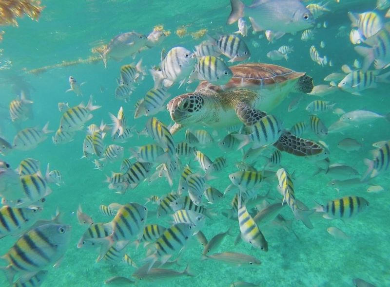  Belize beach vacation
