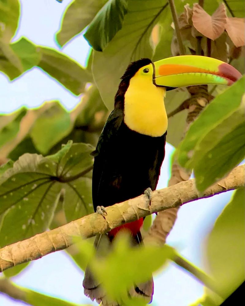  Belize December vacation
