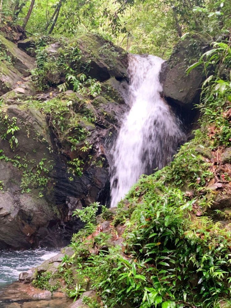  Belize jungle hikes