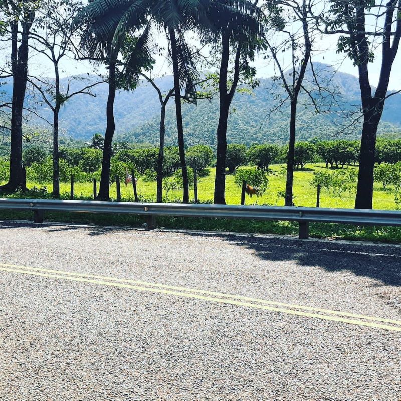  San Ignacio travel tips