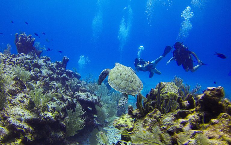  top experiences in Belize 2025 