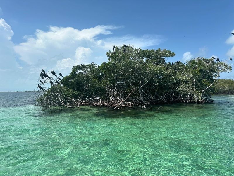  Belize spring activities
