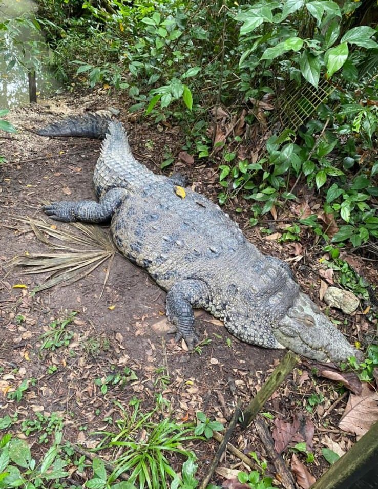  outdoor activities Hopkins Belize