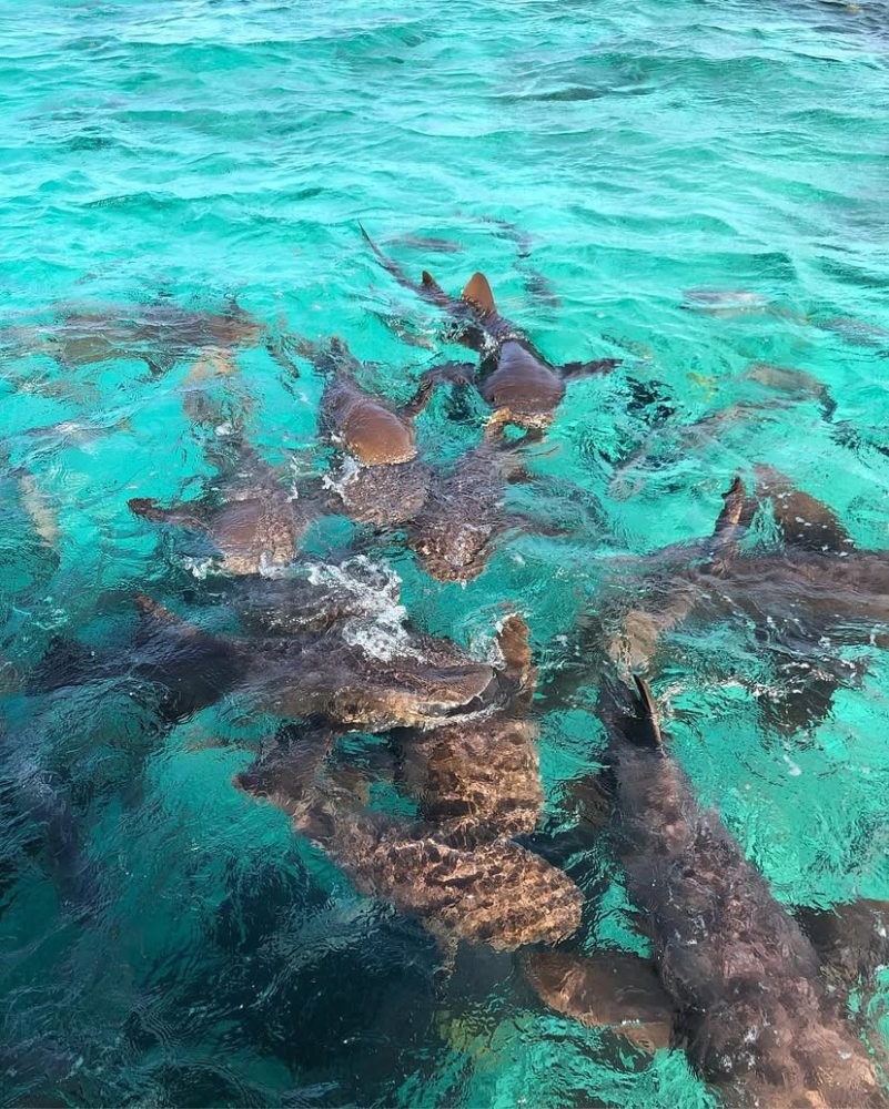  top Belize destinations