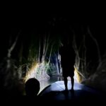 BIo-luminescence Tour in Belize