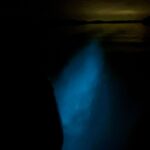 BIo-luminescence Tour in Belize